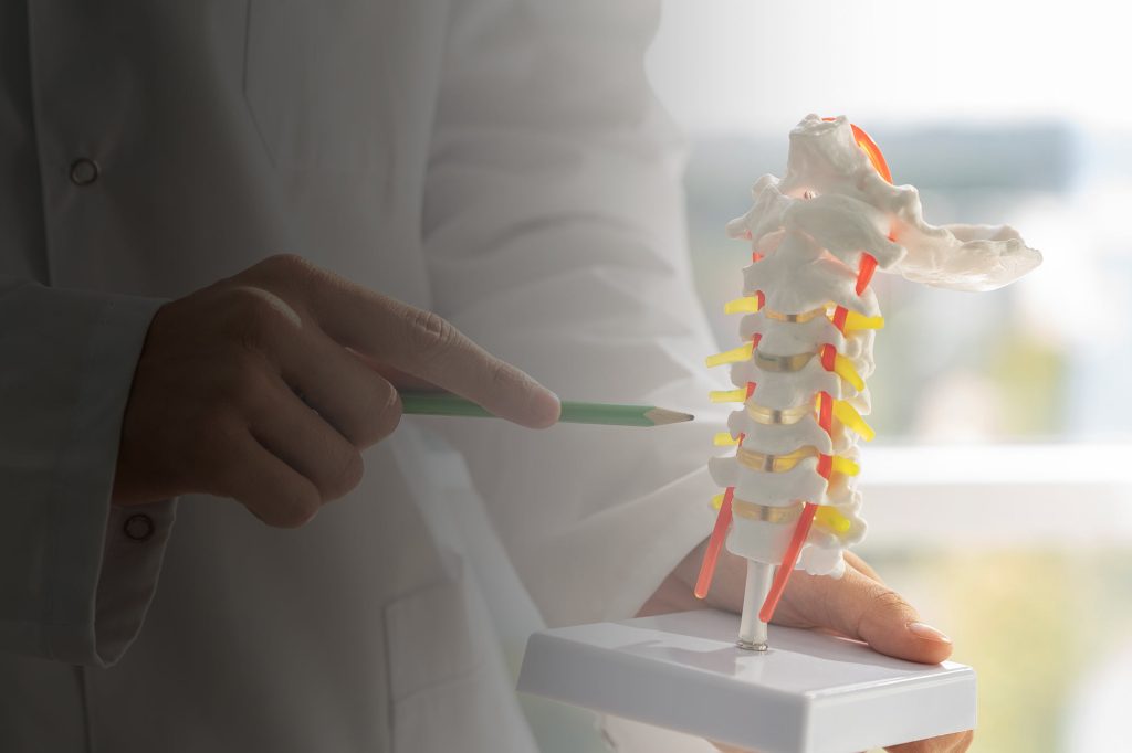 (Osteoporosis, Sumber: Freepik)