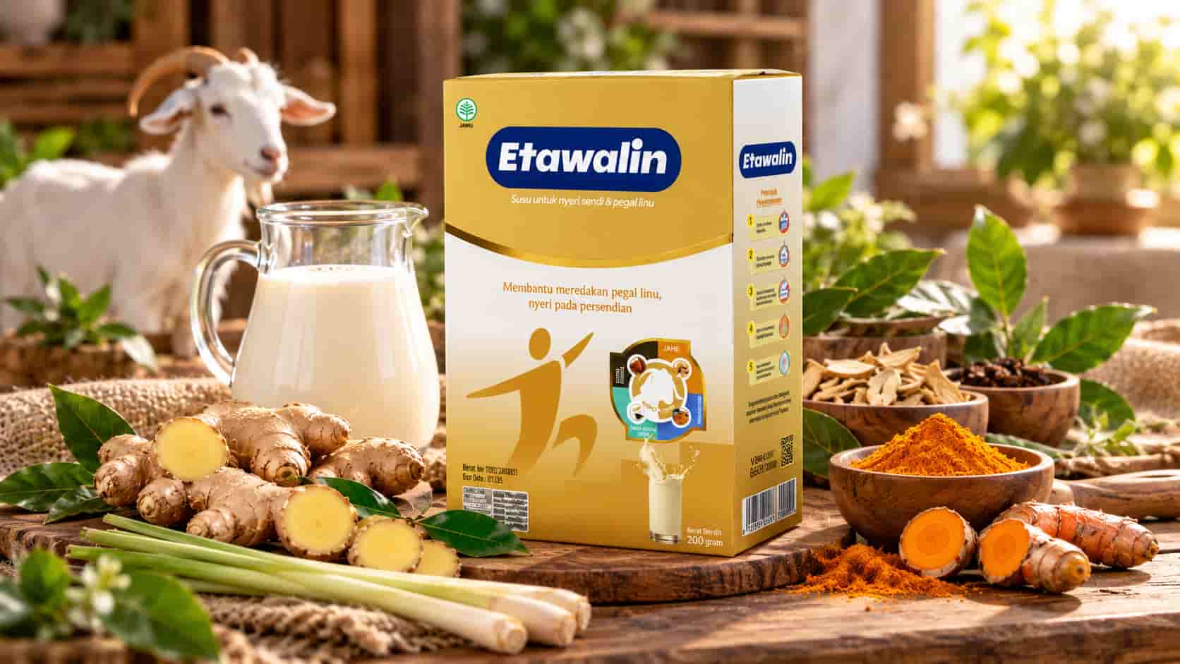 susu kambing etawa untuk nyeri sendi (etawalin)